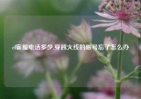 cf客服电话多少,穿越火线的账号忘了怎么办