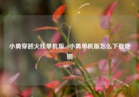 小勇穿越火线单机版,cf小勇单机版怎么下载地图