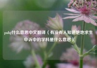 pubg什么意思中文翻译（有没有人知道绝地求生申诉中的学科是什么意思）