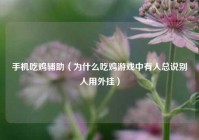 手机吃鸡辅助（为什么吃鸡游戏中有人总说别人用外挂）