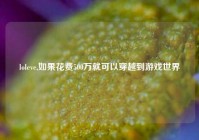 loleve,如果花费500万就可以穿越到游戏世界