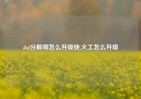 dnf分解师怎么升级快,火工怎么升级