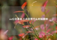 dnf公会基金,工会会费什么时候缴纳