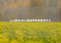 dnf55粉光,DNF55级皮甲传承套买什么