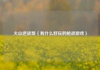 火山逆战哥（有什么好玩的枪战游戏）