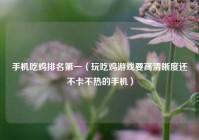 手机吃鸡排名第一（玩吃鸡游戏要高清晰度还不卡不热的手机）