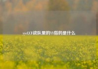 yycf,CF战队里的YY指的是什么