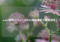 pubg2官网入口ios（MOBILE国际服怎么设置语言）