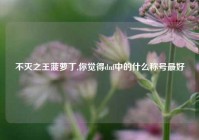 不灭之王菠萝丁,你觉得dnf中的什么称号最好