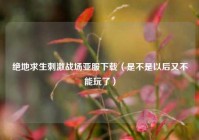 绝地求生刺激战场亚服下载（是不是以后又不能玩了）