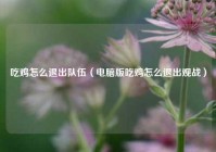 吃鸡怎么退出队伍（电脑版吃鸡怎么退出观战）