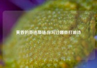 黄昏的奇迹项链,你写过哪些打油诗