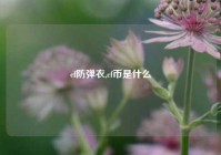 cf防弹衣,cf币是什么