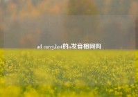 ad carry,last的a发音相同吗