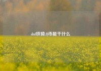 dnf铁骑,Q币能干什么