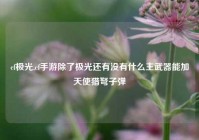 cf极光,cf手游除了极光还有没有什么主武器能加天使猎弩子弹