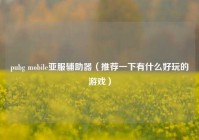 pubg mobile亚服辅助器（推荐一下有什么好玩的游戏）