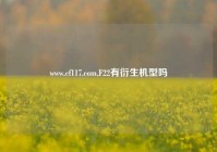 www.cf117.com,F22有衍生机型吗