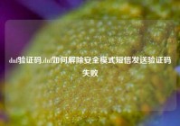 dnf验证码,dnf如何解除安全模式短信发送验证码失败