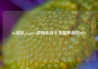 lm战队,rangers中绿衣战士龙笛声音的MP3