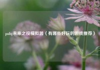 pubg未来之役模拟器（有哪些好玩的游戏推荐）