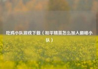 吃鸡小队游戏下载（和平精英怎么加入巅峰小队）