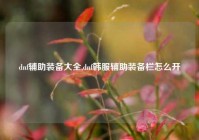 dnf辅助装备大全,dnf韩服辅助装备栏怎么开