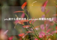 pubg是什么意思游戏（pubgmobile需要实名吗）