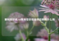 赛利亚好感,dnf赛利亚好感度到信赖有什么用