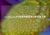 www.dnfwg.com,DNF玩家发展室友一起玩地下城