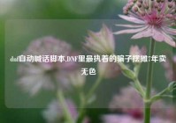 dnf自动喊话脚本,DNF里最执着的骗子摆摊7年卖无色