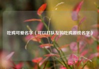 吃鸡可爱名字（可以打队友的吃鸡游戏名字）