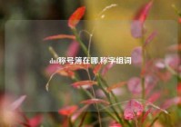 dnf称号簿在哪,称字组词