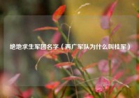 绝地求生军团名字（两广军队为什么叫桂军）