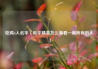 吃鸡4人名字（和平精英怎么查看一局所有的人）