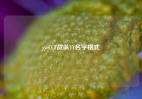 yycf,CF战队YY名字格式