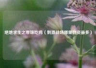 绝地求生之带妹吃鸡（刺激战场哪里物资最多）