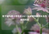 地下城与勇士秒杀挂,DNF一玩家碰到能改队友伤害的科技