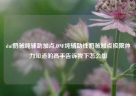 dnf奶爸纯辅助加点,DNF纯辅助性奶爸加点极限体力知道的高手告诉我下怎么加