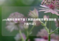 pubg端游在哪里下载（刺激战场绝地求生国际服下载方法）