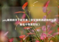 pubg画质助手下载苹果（你觉得刺激战场好玩还是和平精英好玩）