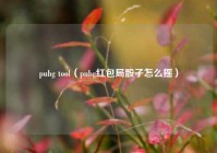 pubg tool（pubg红包局骰子怎么摇）