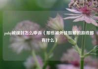 pubg被误封怎么申诉（那些被外挂毁掉的游戏都有什么）