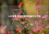 lol比赛服,英雄联盟体验服怎么下载