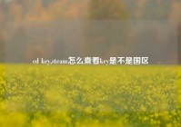 cd key,steam怎么查看key是不是国区