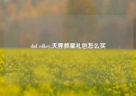 dnf cdkey,天界救星礼包怎么买