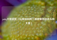 pubg大炮皮肤（玩家给剑网三游戏策划送砖头和大葱）