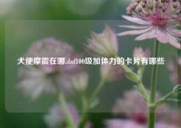 犬使摩震在哪,dnf100级加体力的卡片有哪些