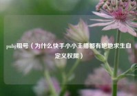 pubg租号（为什么快手小小主播都有绝地求生自定义权限）