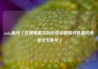 pubg账号（在哪里能买到价格价格相对低廉的绝地求生账号）